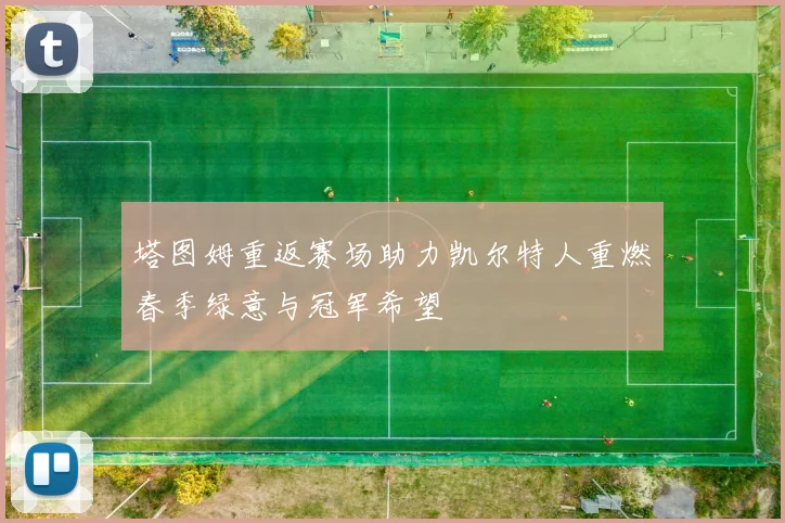 塔图姆重返赛场助力凯尔特人重燃春季绿意与冠军希望