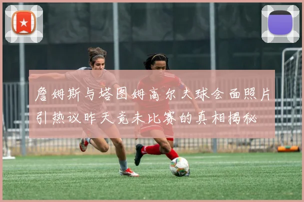 詹姆斯与塔图姆高尔夫球会面照片引热议昨天竟未比赛的真相揭秘